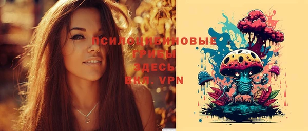 соль курить ск Богданович