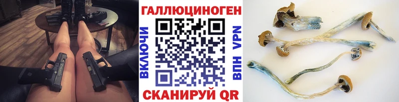 Псилоцибиновые грибы Psilocybine cubensis  Кореновск 
