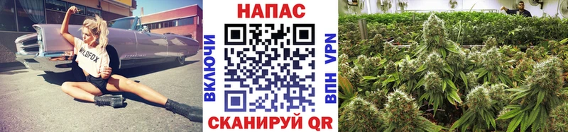 Канабис Ganja Кореновск