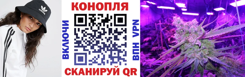 Каннабис ГИДРОПОН  дарнет шоп  Кореновск 